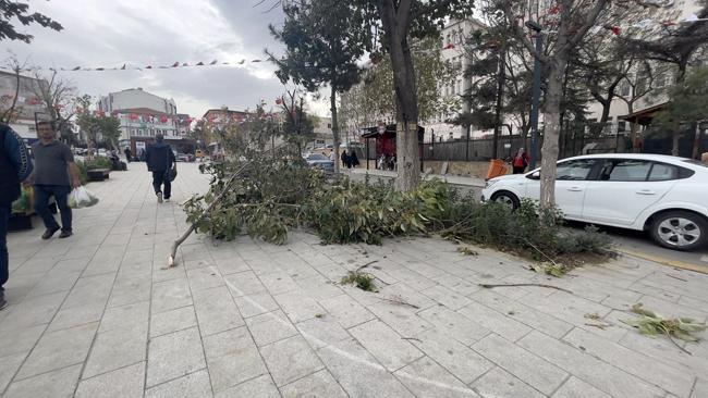 Edirne'de kuvvetli rüzgar: ağaçlar devrildi, çatılar uçtu!