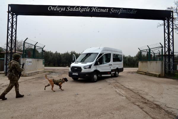 Kahraman köpekler! Eğitimler 3 aylıkken başlıyor