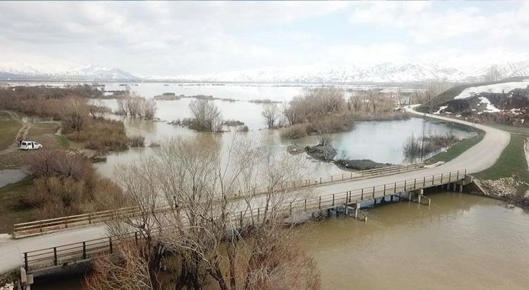 Yüksekova'da 3 gün süren yağış! Ova göle döndü, evler su altında kaldı