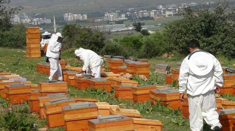 300 TL altında satılıyorsa dikkat: Tüketicinin sağlığıyla oynuyorlar!